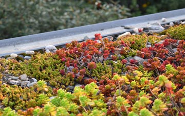 the cost of The Barton green roof installation