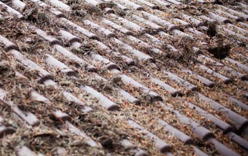 The Barton roof cleaning companies