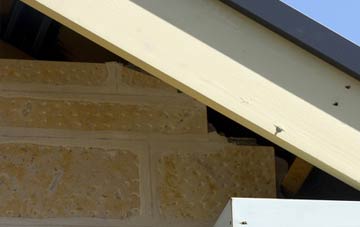 soffit repair The Barton